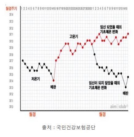 배란일 어떻게 알 수 있을까요?
