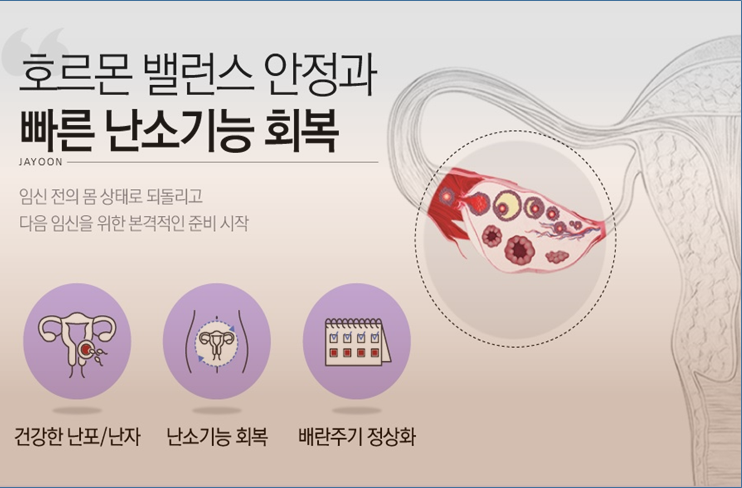 출산 후 발생되는 반복유산 (4)