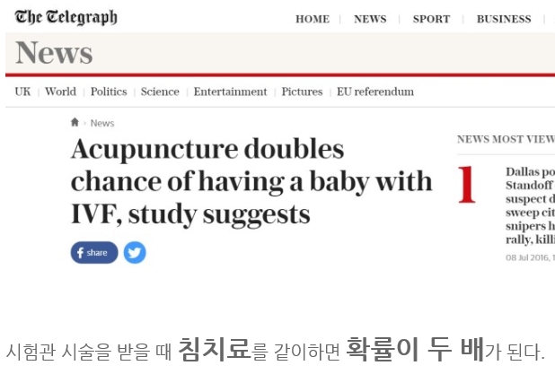 시험관아기 배아이식 당일 침치료 효과