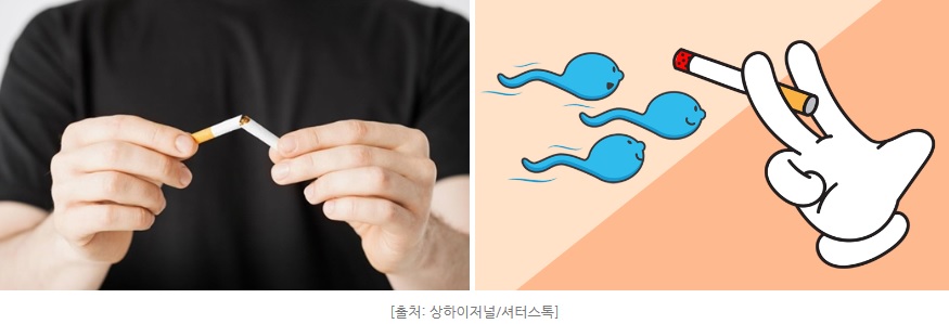 흡연이 남성난임에 미치는 영향에 관한 보고