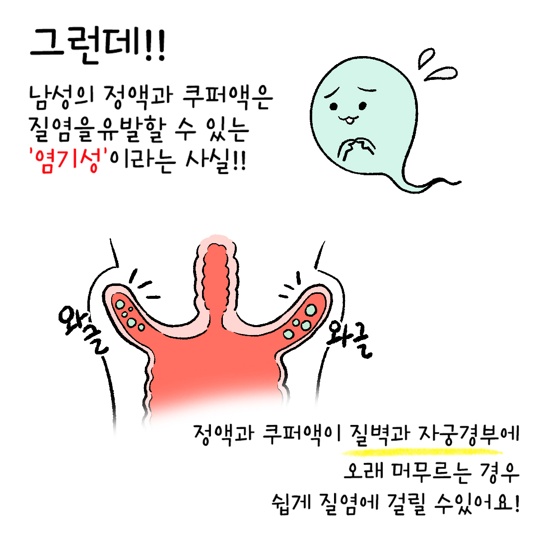 [자윤한의원 여성건강툰] 3화. 성관계 후 질염에 잘 걸리는 이유? (4)