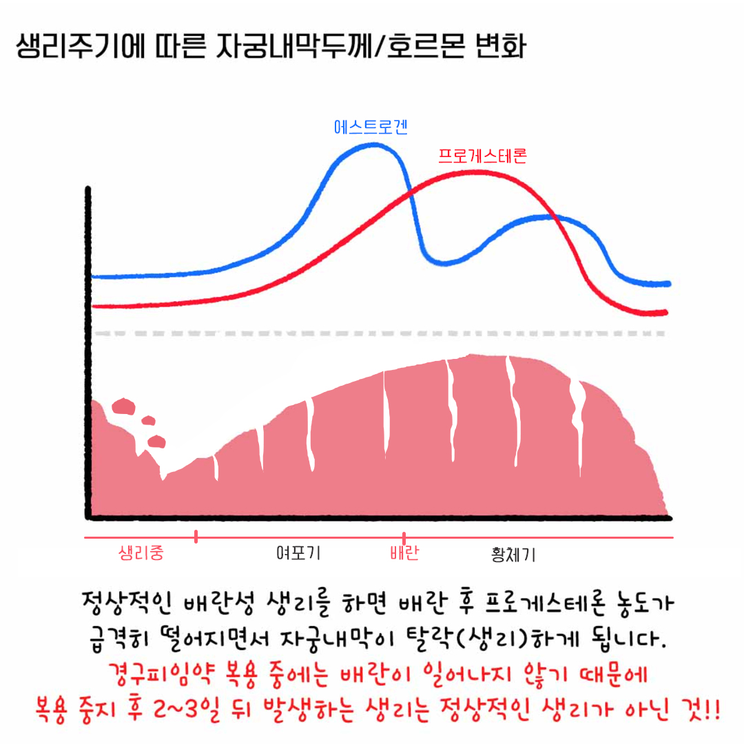 [자윤한의원 여성건강툰] 18화. 피임약 중단 후 출혈은 생리가 아니다? (5)