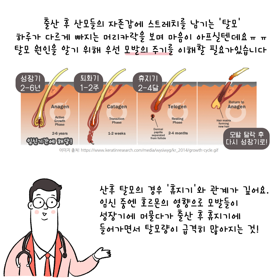 [자윤한의원 여성건강툰] 30화. 산후탈모 언제까지 빠져요? 출산 후 머리빠짐 원인과 치료 시기 (3)