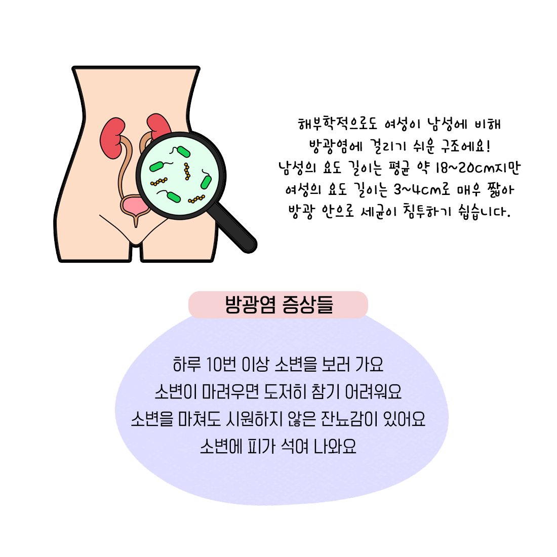 [자윤한의원 여성건강툰] 45화. 휴가 다녀오니 방광염이? 여행 후 방광염 잘 걸리는 이유 (4)