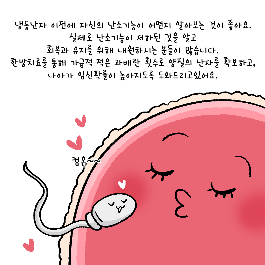 [자윤한의원 여성건강툰] 52화. 냉동난자시술 준비, 최소 과배란으로 임신확률 높이기 위해서는 (5)