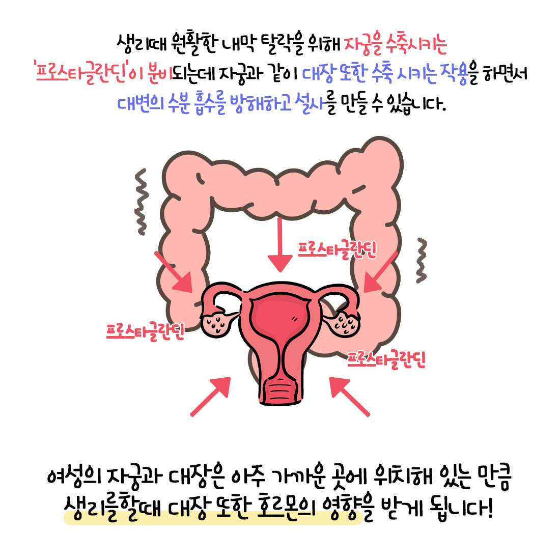 [자윤한의원 여성건강툰]생리만 시작하면 설사를 해요.. (4)