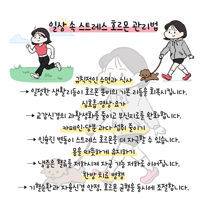 [자윤한의원 여성건강툰]스트레스와 호르몬불균형 상관관계에 대해서 (6)