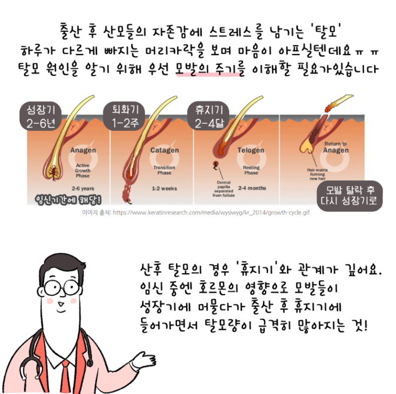 [자윤한의원 여성건강툰]출산후 탈모 이대로 괜찮을까 ㅠㅠ? (3)