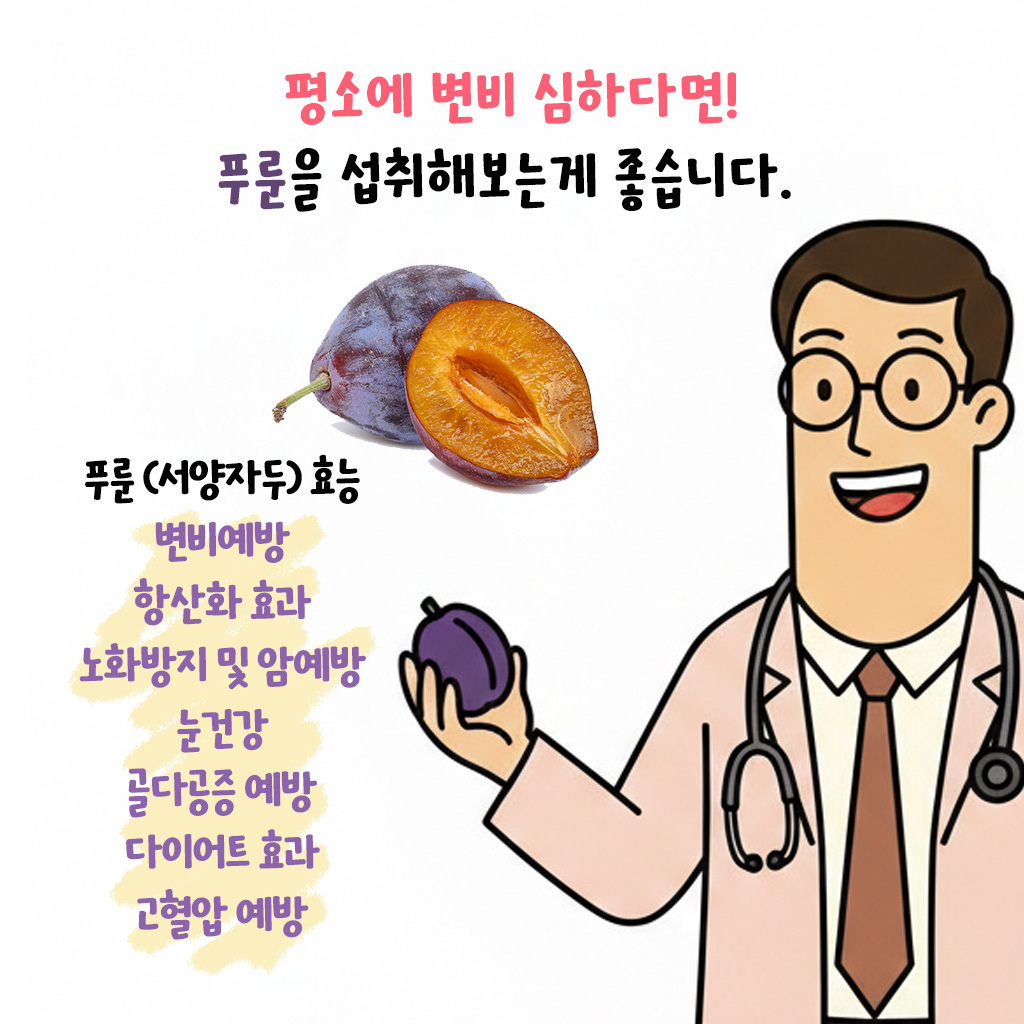 [자윤한의원 여성건강툰]푸룬 변비 효과 정말 있을까? (4)