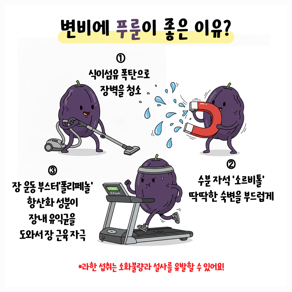 [자윤한의원 여성건강툰]푸룬 변비 효과 정말 있을까? (5)