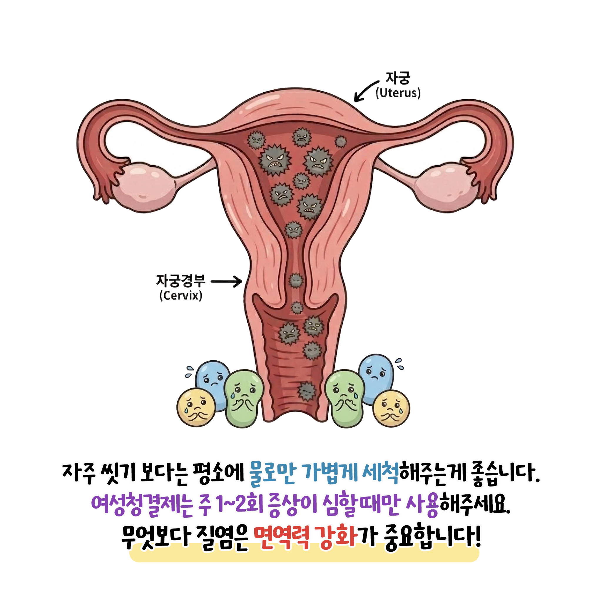 [자윤한의원 여성건강툰]여성청결제 매일 사용해도 될까? (5)